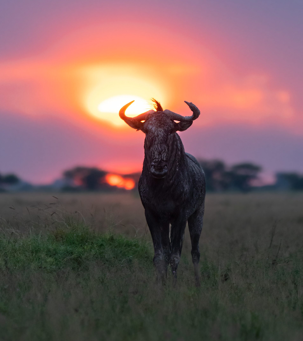 Burundi Safaris